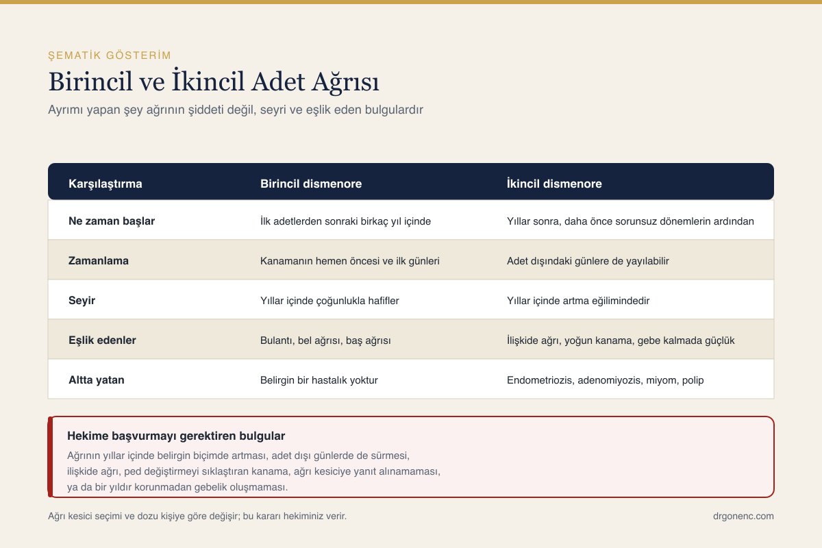 Adet ağrısının birincil ve ikincil biçimlerinin karşılaştırıldığı, metinde anlatılan başlıkları özetleyen şematik gösterim