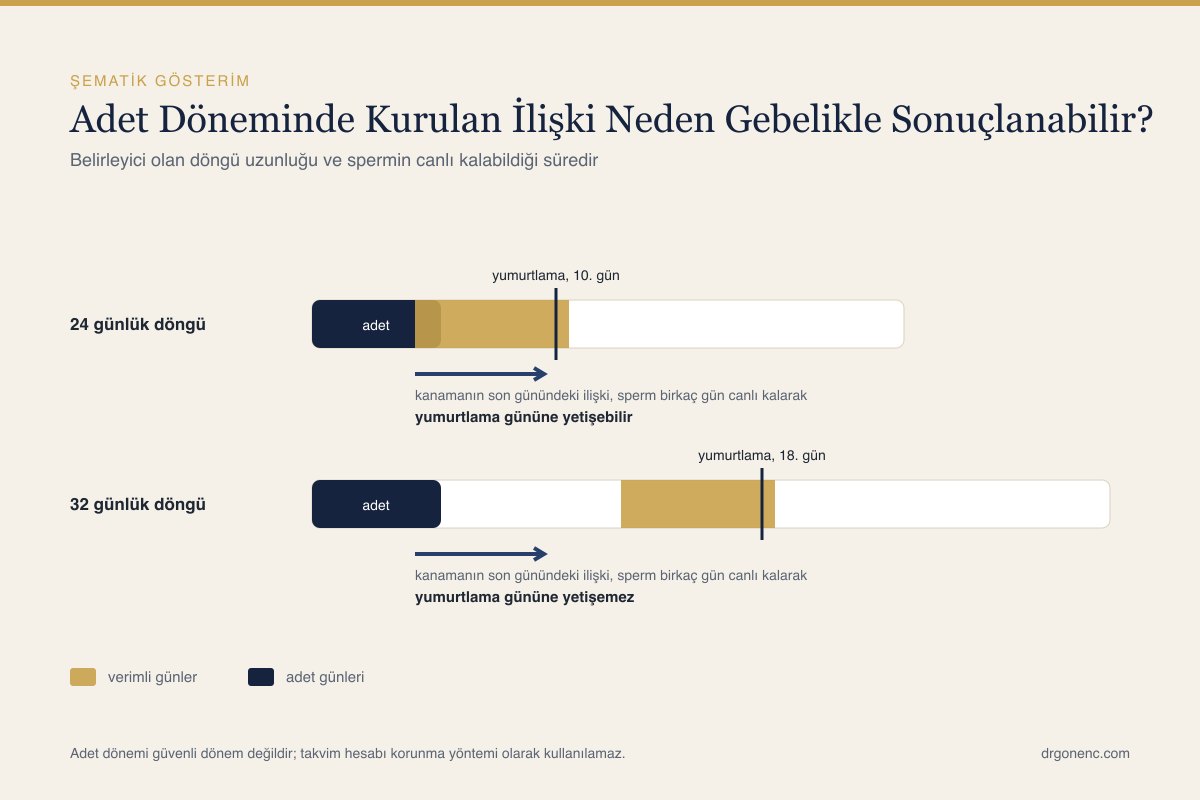 Adet döngüsünde kanama dönemi ile yumurtlama zamanlamasının ilişkisini gösteren şematik çizim