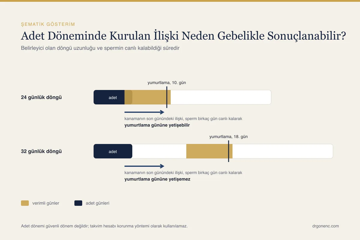 Adetliyken hamile kalınır mı? Olasılık ve nedenleri