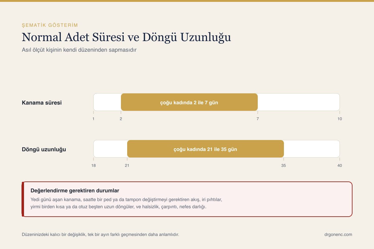 Adet süresi ve adet döngüsü uzunluğunun ilişkisini gösteren şematik çizim