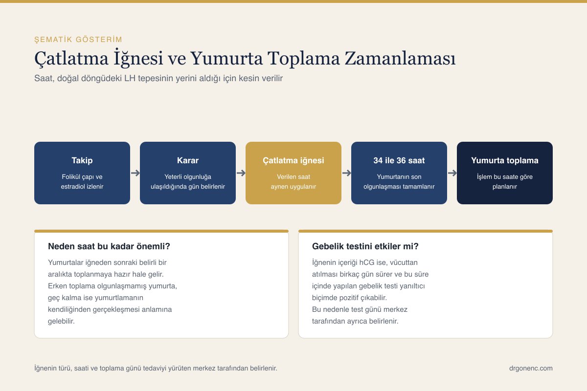 Çatlatma iğnesi ile yumurta toplama arasındaki süreci genel olarak gösteren sade, şematik bir çizim
