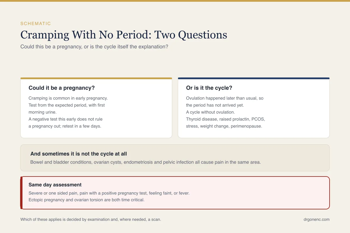 Cramps but no period: what causes it and when it needs assessing