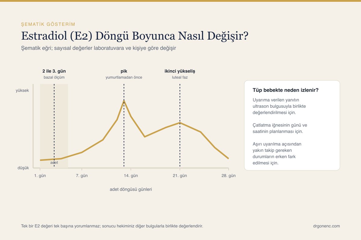 Adet döngüsü boyunca estradiol düzeyinin değişimini gösteren şematik eğri; adet günleri, 2 ile 3. gündeki bazal ölçüm, yumurtlama öncesindeki tepe nokta ve luteal fazdaki ikinci yükseliş işaretli, yanında tüp bebekte bu ölçümün neden izlendiğini özetleyen bir kutu