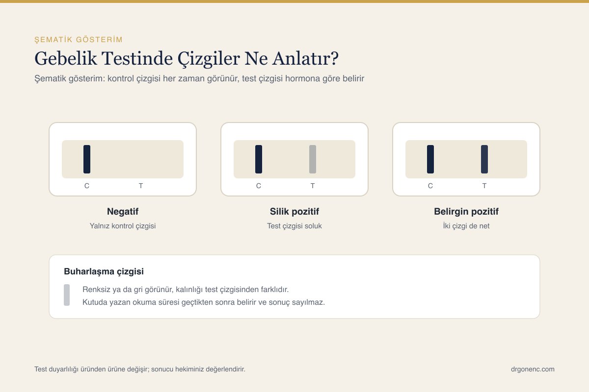 Gebelik testinde silik test çizgisi ile buharlaşma çizgisini karşılaştıran şema