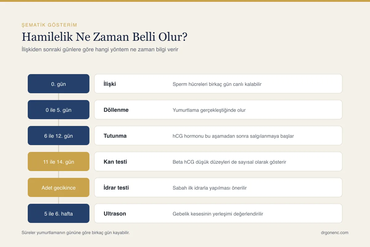 İlişkiden kaç gün sonra hamilelik belli olur?