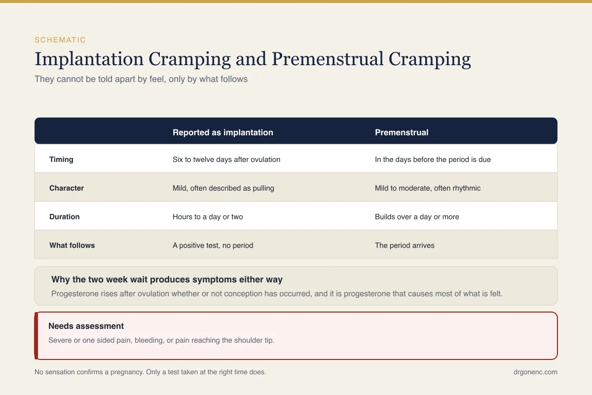Implantation cramps: what they feel like and what they cannot tell you