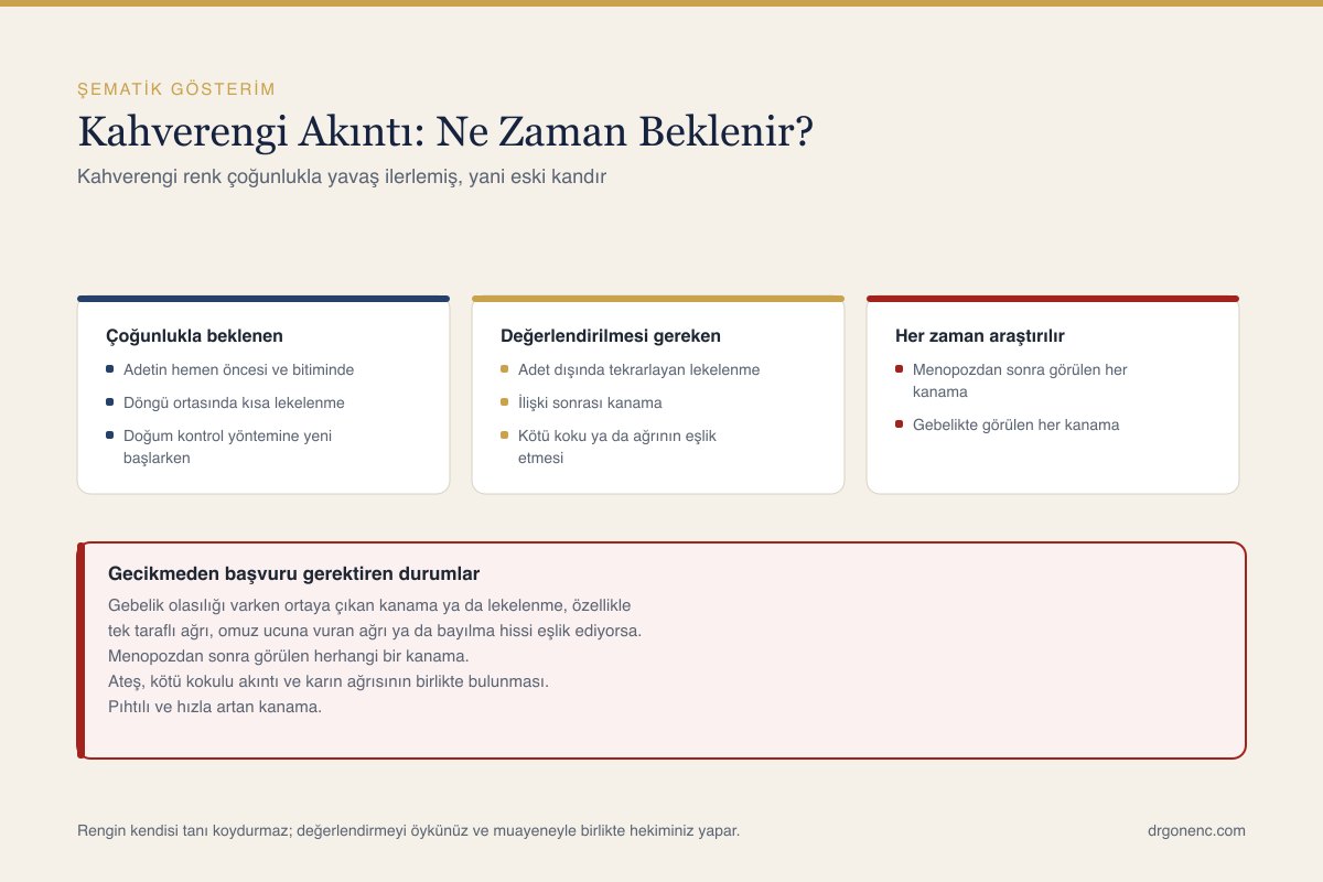 Kahverengi akıntının hangi durumlarda beklenen bir bulgu sayıldığını, hangi durumlarda hekim değerlendirmesi gerektirdiğini özetleyen şematik çizim