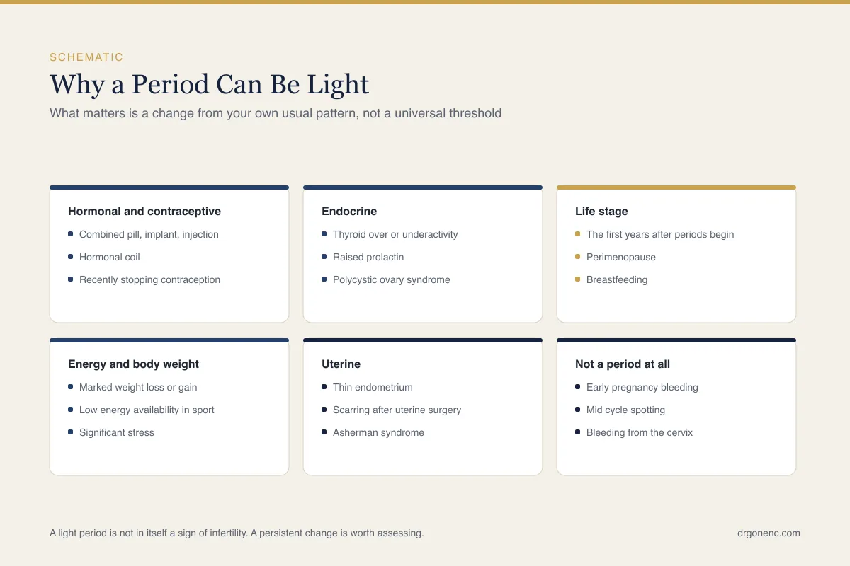 Why is my period so light? Causes, assessment and what it means for fertility