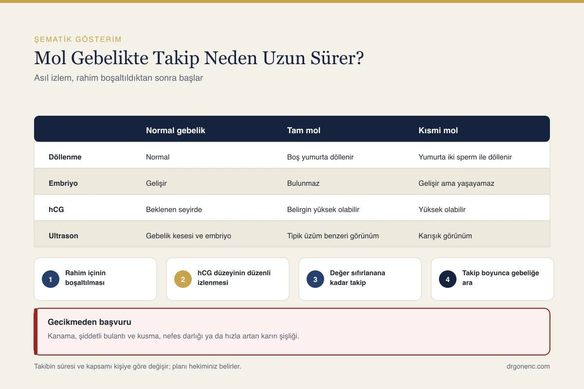Mol gebelik nedir, belirtileri nelerdir ve sonrasında takip nasıl yapılır?