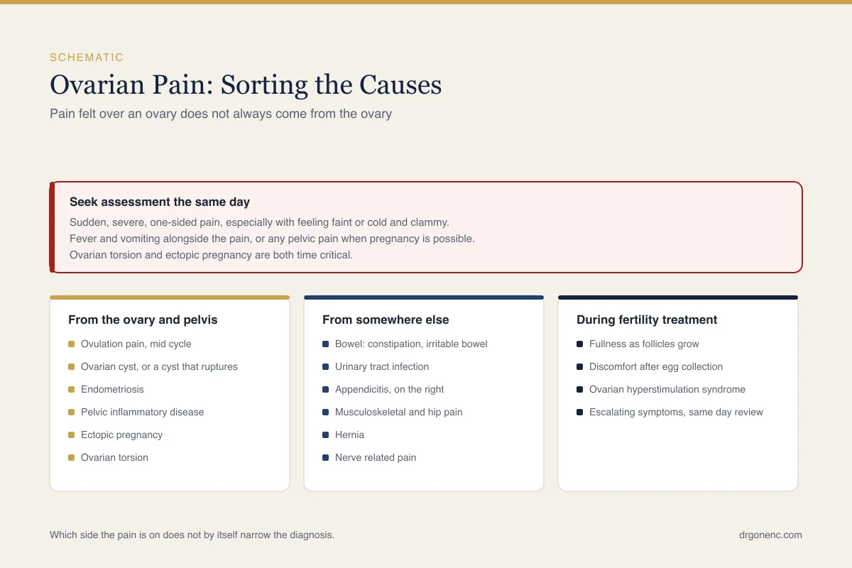 Ovarian pain: what causes it, and when it needs urgent assessment