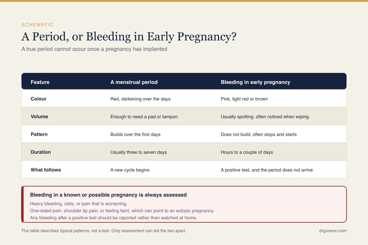 Can you have a period while pregnant? What bleeding in early pregnancy really means