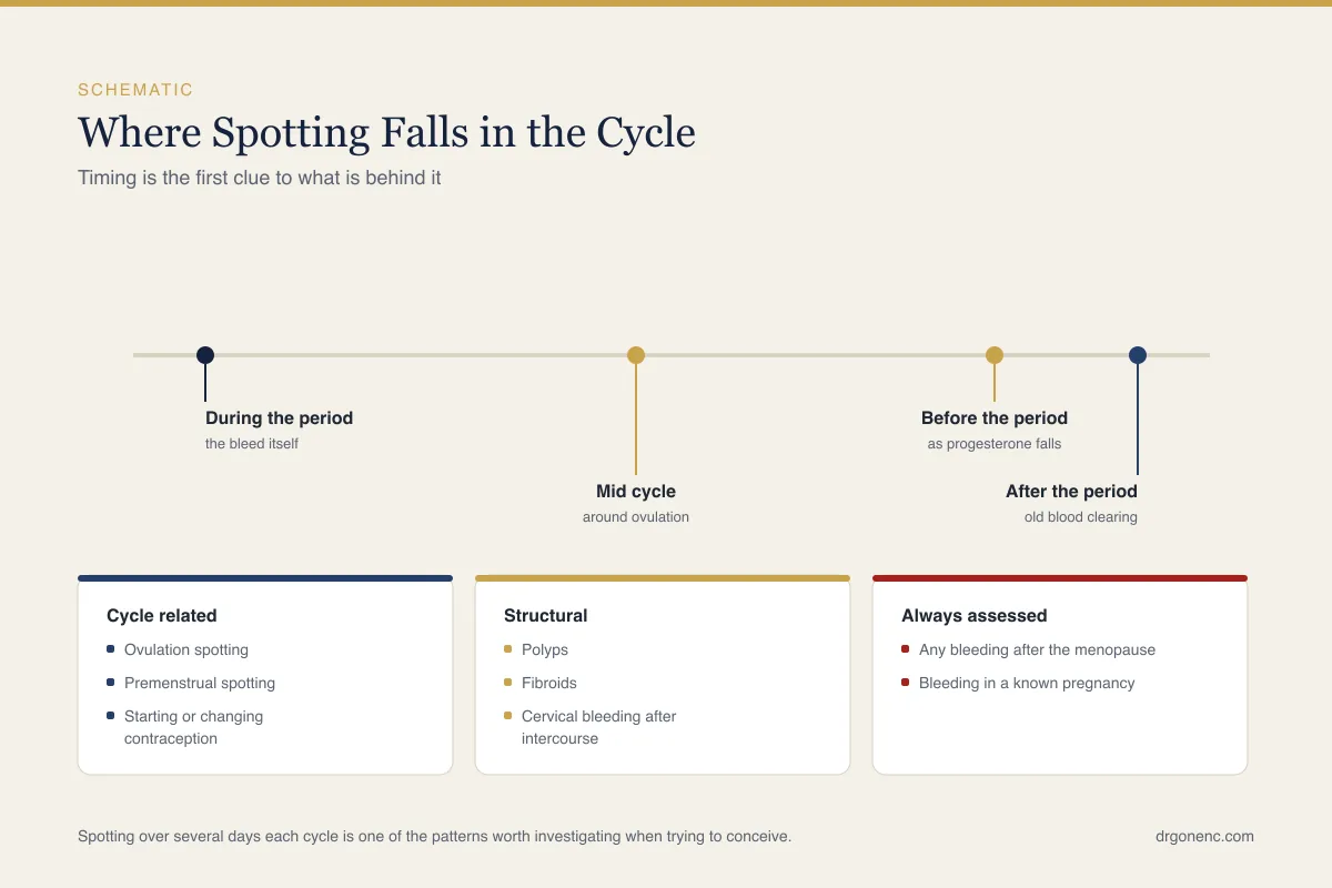 Spotting before your period: causes, patterns and when to seek assessment