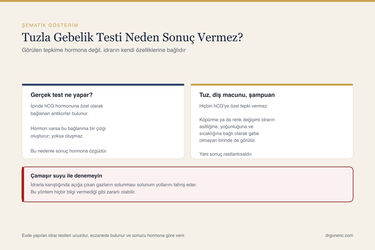 Evde anlatılan tuz yöntemi ile idrarda hormon arayan gebelik testinin çalışma ilkesini karşılaştıran şematik çizim