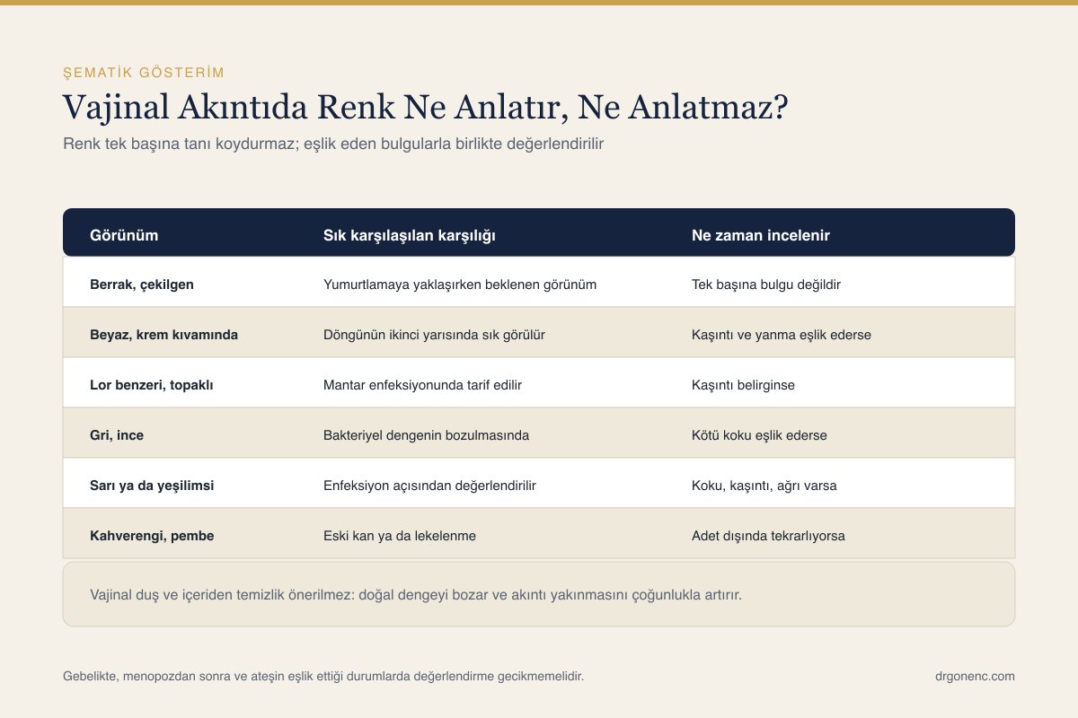 Vajinal akıntının renk ve kıvamına göre değerlendirilmesini özetleyen şematik çizim