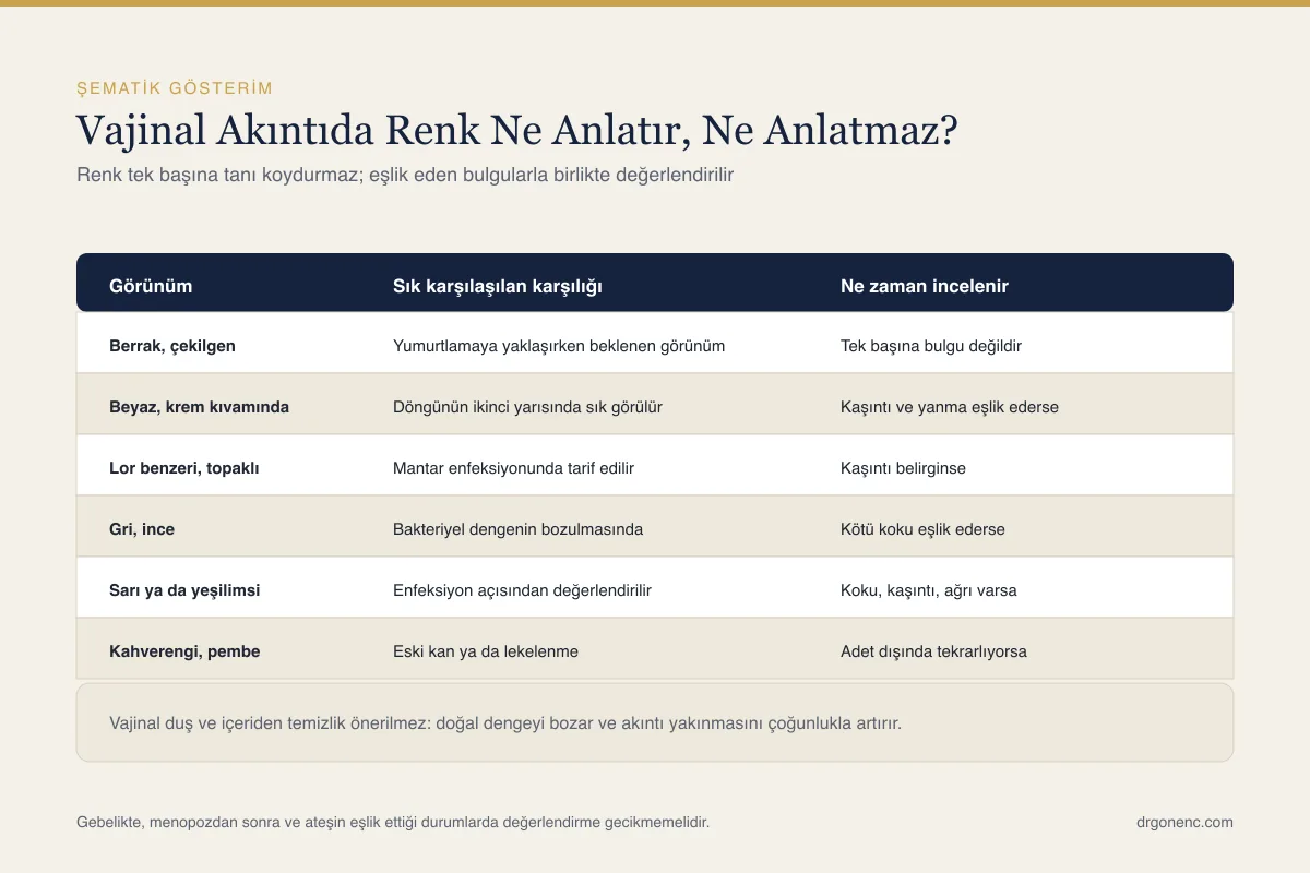 Vajinal akıntı renkleri ve anlamları: hangi akıntı normal, hangisi değil?