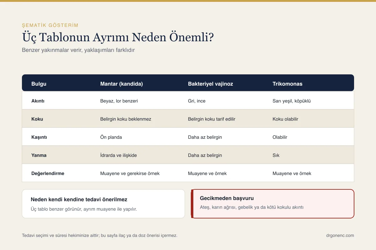 Vajinal mantar enfeksiyonu belirtileri ve ayırıcı tanısı