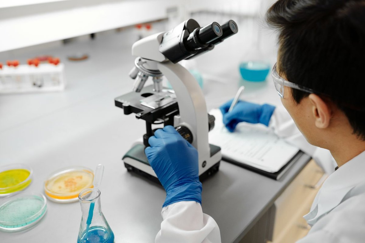 Blastocyst transfer and embryo grading in the IVF lab