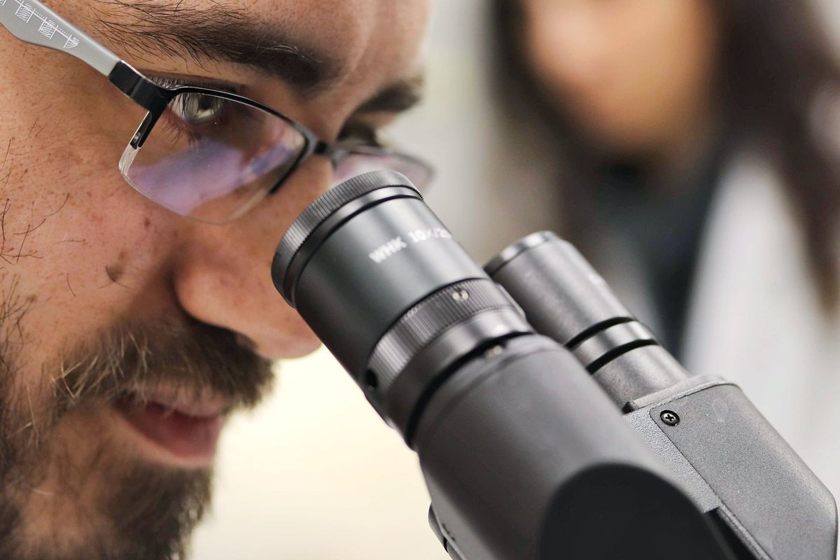 How Insulin Resistance Affects Fertility